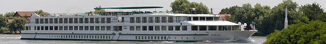 MS Vivaldi