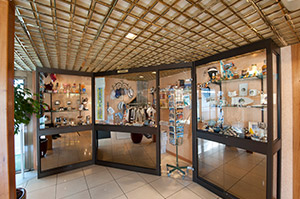Shop