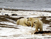 Alaska