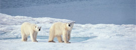 Central Europe Cruises on MS Grace