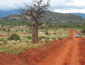 An African Safari