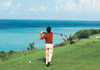 Bermuda Cruises