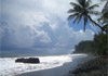 South Pacific Cruises