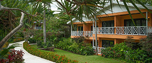 Bamboo Grove & Cottage Removations