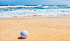 Golf Vacation Packages