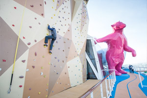 Rock-Climbing Wall