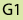 G1