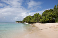 Caribbean Cruises
